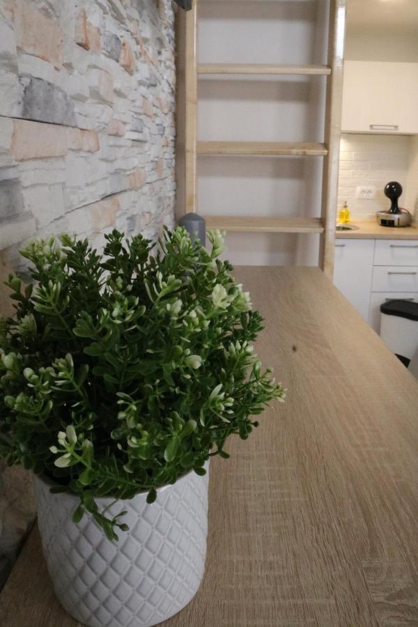 זאגרב Studio Apartman Chiara מראה חיצוני תמונה